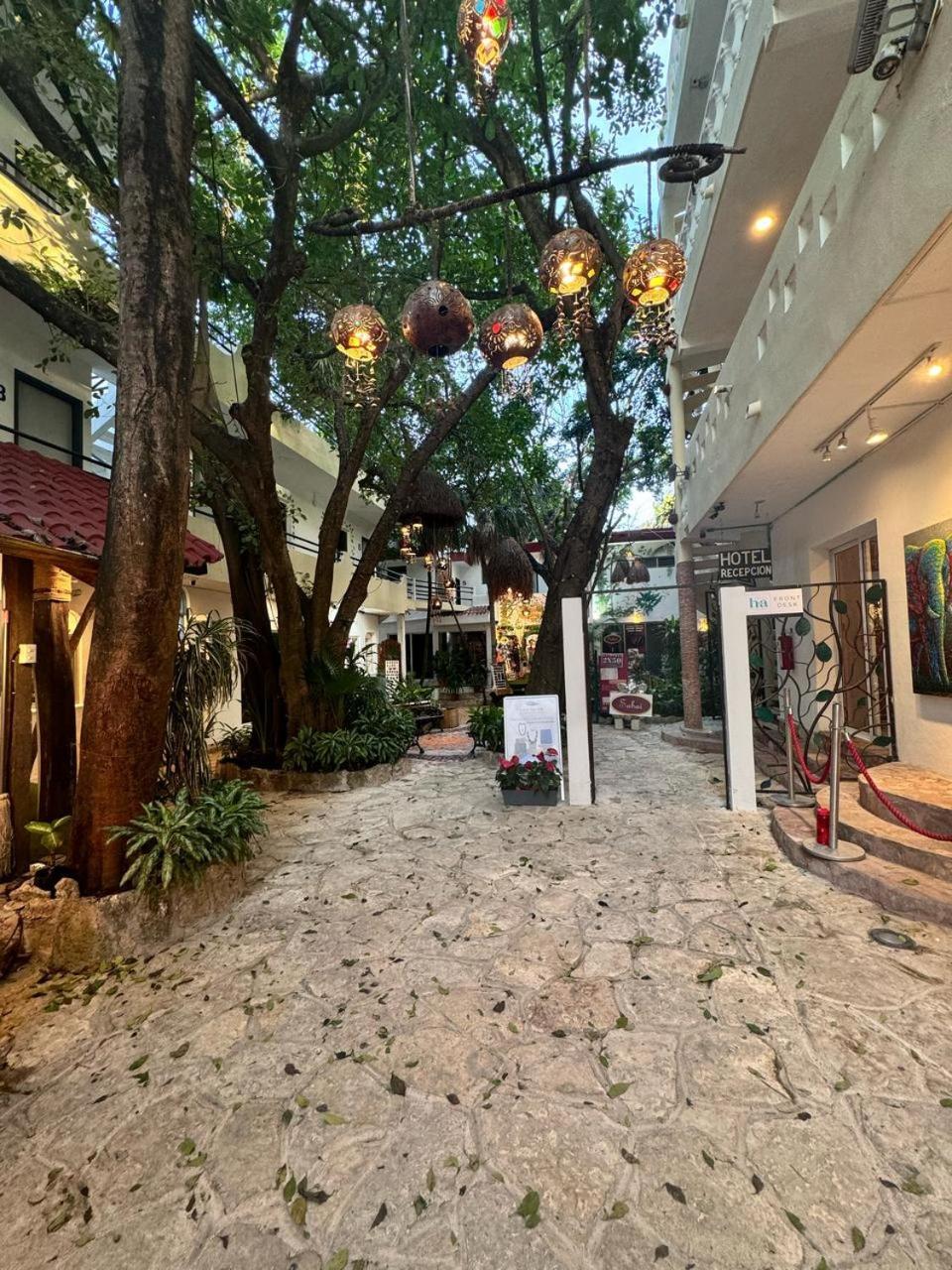 Hotel Ha Garden Gallery - 5Th Avenue Playa del Carmen Exterior foto