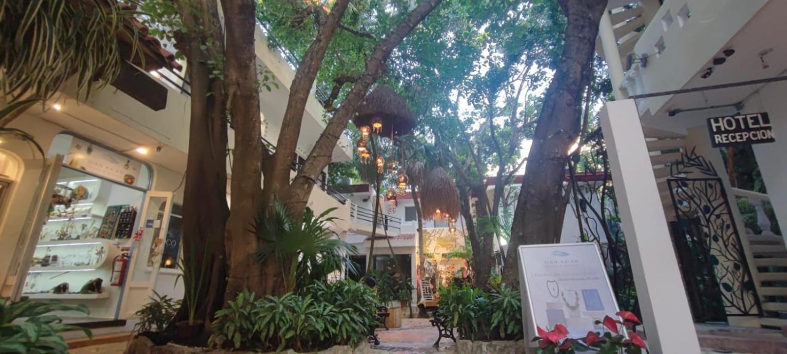 Hotel Ha Garden Gallery - 5Th Avenue Playa del Carmen Exterior foto