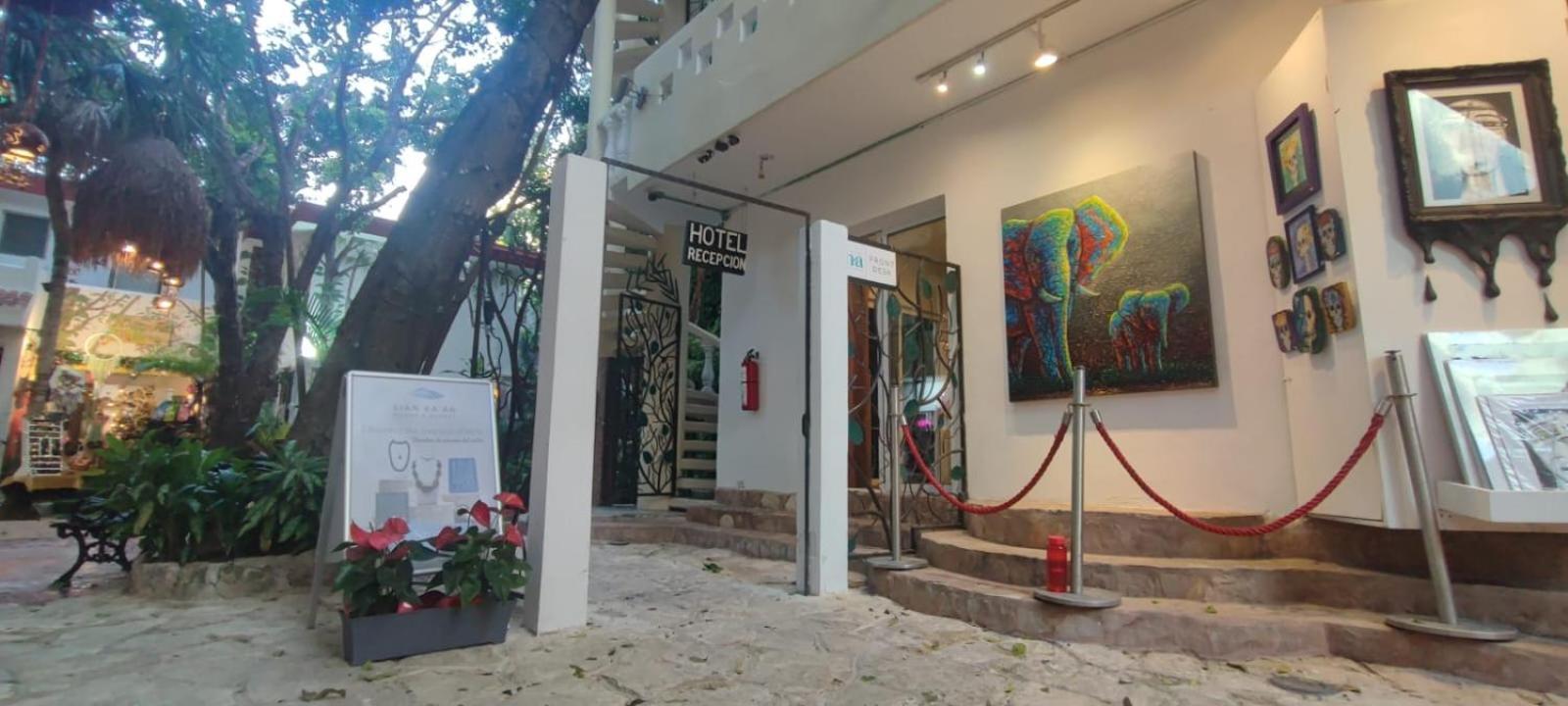 Hotel Ha Garden Gallery - 5Th Avenue Playa del Carmen Exterior foto